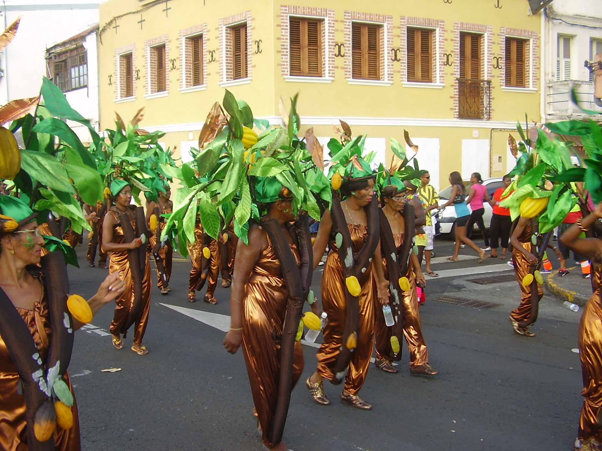 Carnaval Martinique2